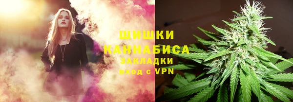 МДПВ Мегион