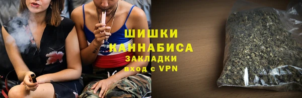 ГАЛЛЮЦИНОГЕННЫЕ ГРИБЫ Михайлов