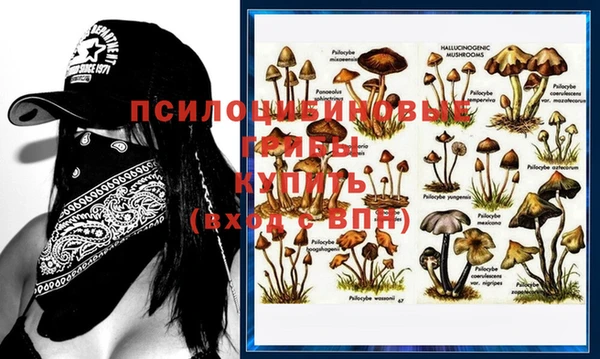 apvp Михайловск
