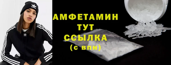 ГАЛЛЮЦИНОГЕННЫЕ ГРИБЫ Михайлов
