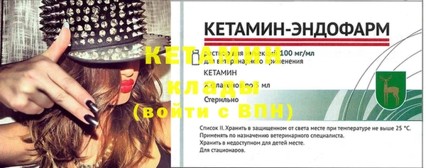 дмт Болотное
