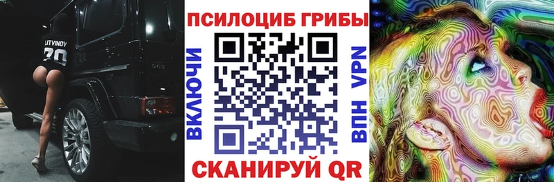 закладки  Шебекино  Псилоцибиновые грибы прущие грибы 
