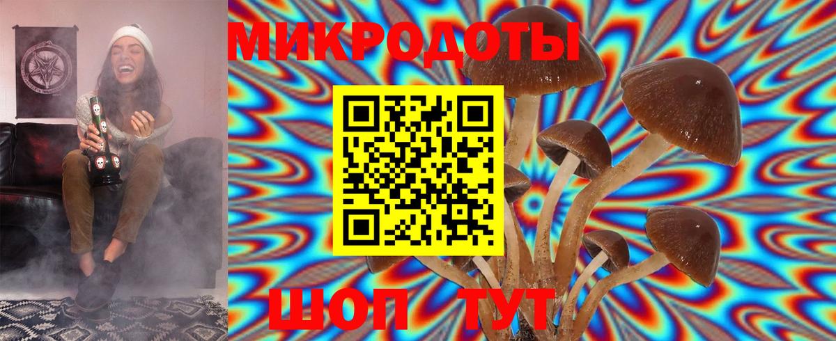 Псилоцибиновые грибы мицелий  Шебекино 