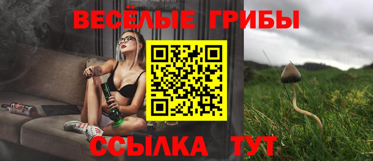 Галлюциногенные грибы Psilocybine cubensis Шебекино